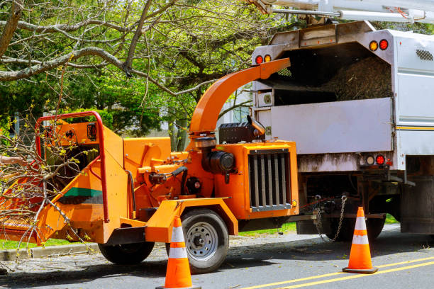 Best Tree Mulching  in Sinking Spring, PA