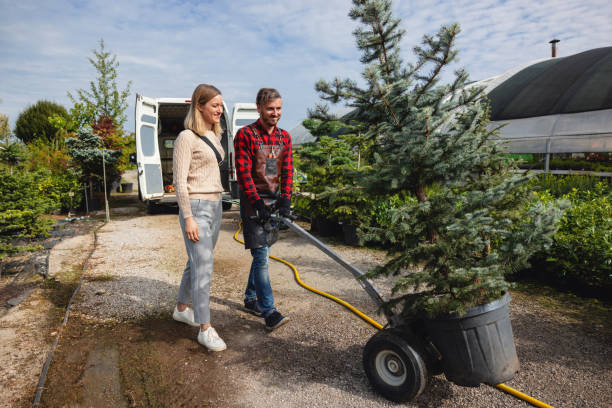 Best Artificial Turf Installation  in Sinking Spring, PA